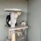 A purrfect rescue: Salix Homes officers save abandoned cats